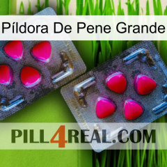 Píldora De Pene Grande 15